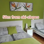 Grudnik With Free Parking Apartma Kranjska Gora