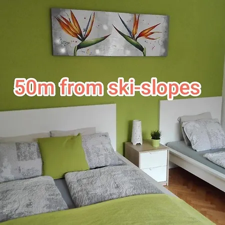 Grudnik With Free Parking Apartma Kranjska Gora