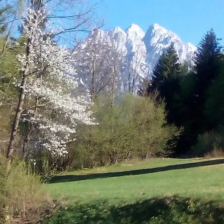 Grudnik Apartmán *
