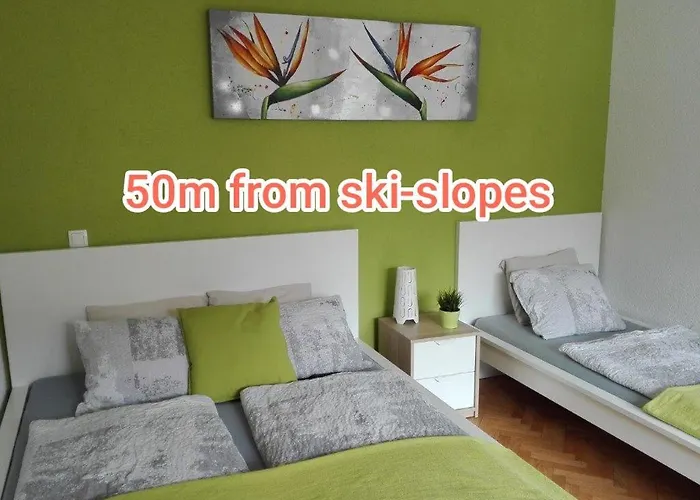 Grudnik With Free Parking Appartement Kranjska Gora